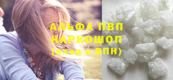 индика Осташков