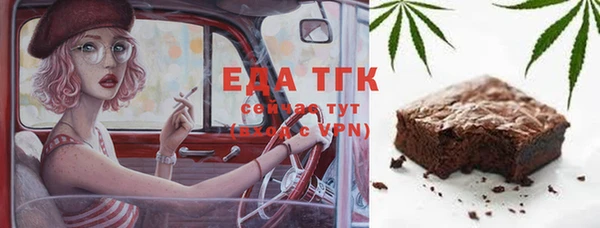 индика Осташков