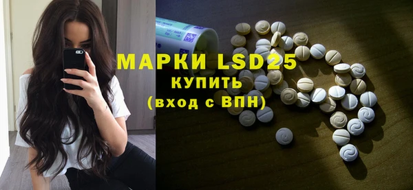 индика Осташков