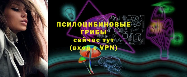 индика Осташков