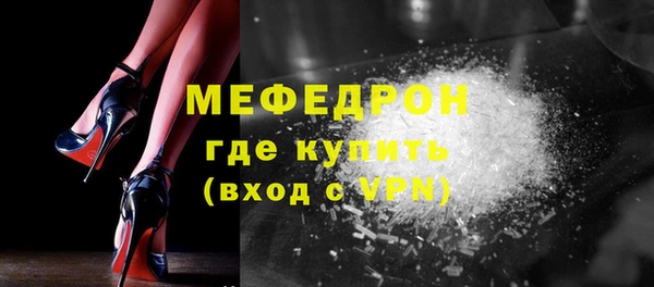индика Осташков