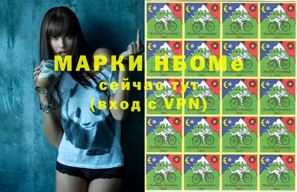 индика Осташков