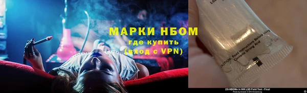 индика Осташков