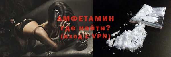 индика Осташков