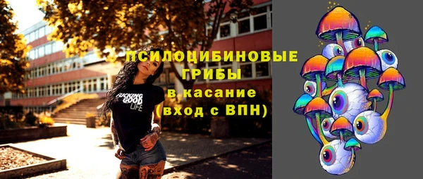 индика Осташков
