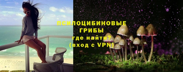 дурь Осинники