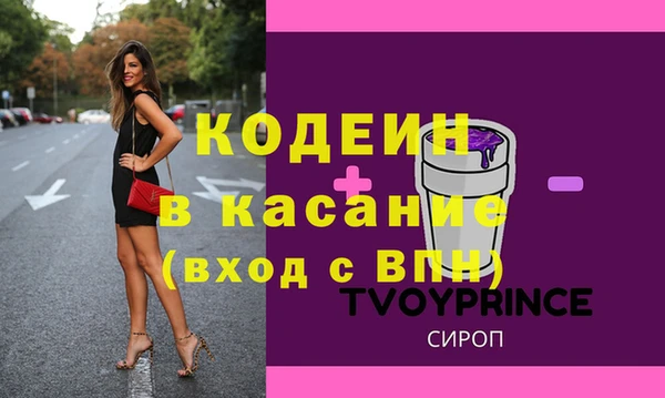 индика Осташков